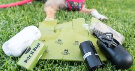 The Best Dog Poop Bags | Reviews by Wirecutter