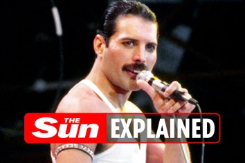 When did Freddie Mercury die and who was the Queen singer's fiancee Mary Austin? | The US Sun
