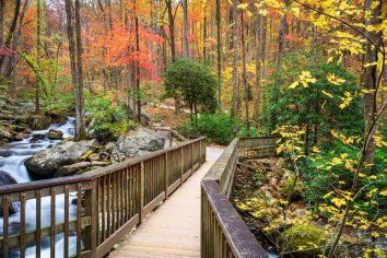 Best Places to Visit in Georgia: Most Beautiful Beaches, Parks, & Trails - Thrillist