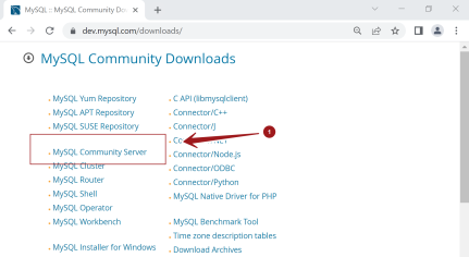 Download & Install MySQL on Windows 11 - TestingDocs.com