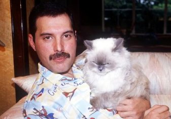 The names of Freddie Mercury’s cats – Nancy's Baby Names