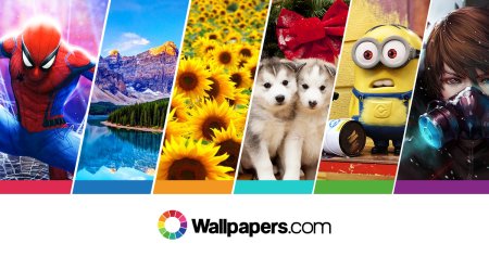 Wallpapers.com | 200,000+ Free HD Wallpapers for Desktop & Mobiles