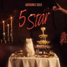 DOWNLOAD MP3: Adekunle Gold – 5 Star — NaijaTunez