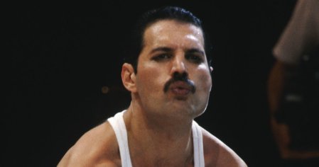 Amazing unreleased photos of Freddie Mercury to celebrate what would have been his 70th birthday - Mirror Online
