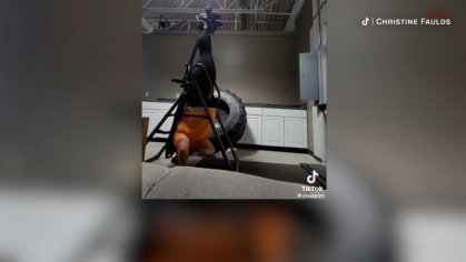 FARK.com:  (12537820) Woman stuck upside down at a gym in a video on CNN, not PornHub