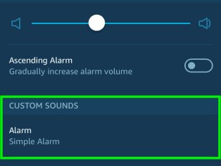 How to Set an Alarm with Alexa: 15 Steps (with Pictures) - wikiHow