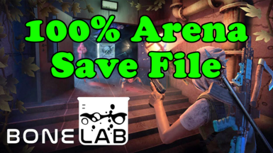 100 PERCENT Completed Arena Save File at BONELAB Nexus - Mods and Community