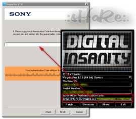 Digital Insanity Keygen Download - downyload