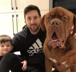 Messi's Hulk Dog: Isang Espesyal na Lahi Ng Endangered Pet | 2023