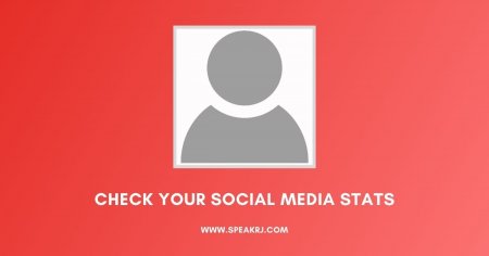 Real-time Instagram Followers Count (Live) - SPEAKRJ Stats