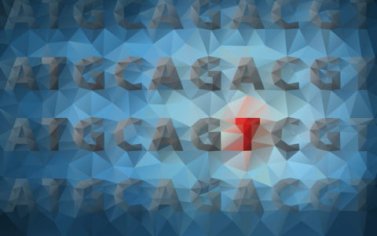 What is a mutation? – YourGenome
