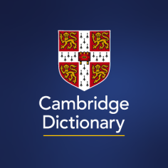 MORNING | meaning, definition in Cambridge English Dictionary