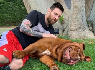 Lionel Messi's dog: What breed it is, name and pictures