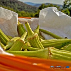 The Perfect Batter For Fried Okra - The Mountain Kitchen