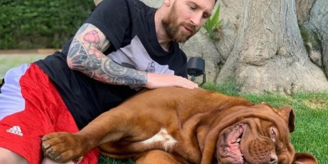 Dónde quedó “Hulk”, el perro gigante de Messi, tras su mudanza a París | La 100