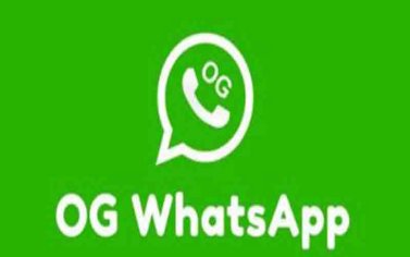 Download OG WhatsApp Pro Apk Versi Terbaru 2022 - Debgameku
