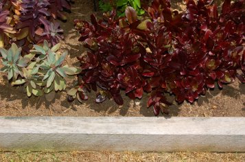 How to Install Landscape Timber Edging