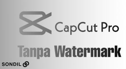 Link Download Capcut Pro Mod Apk Terbaru, NO WATERMARK | Sondil.Com