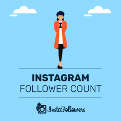 Instagram Follower Count Checker - Realtime | InstaFollowers
