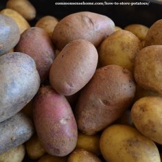 How to Store Potatoes Long Term