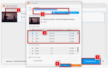 The Best Music Video Downloader for Free Music Video Download