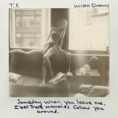 Wildest Dreams（2015年泰勒·斯威夫特发行的个人单曲）_百度百科