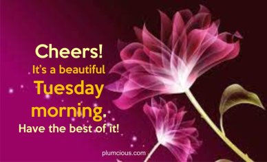 60 Tuesday Good Morning Wishes Latest Images, Quotes and Blessings - Plumcious