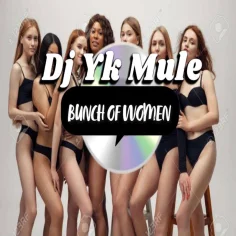 DJ Yk – Bunch Of Women (Mp3 Download)