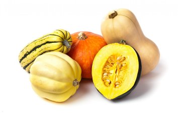 16 Common Types of Squash