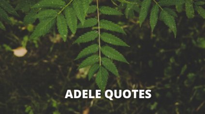 Best Adele Quotes On Love, Life, Music, Success – OverallMotivation