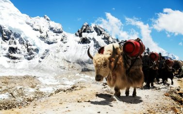 15 Interesting Facts about Mount Everest ( #8 Pretty Funny)
