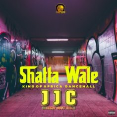 Download Shatta Wale album songs: JJC | Boomplay Music