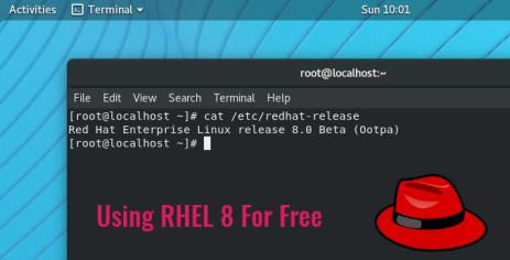 How to Download and Install RHEL8 For Free (Red Hat Enterprise Linux)