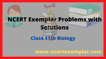 {Latest Edition} NCERT Exemplar Class 11 Biology Solutions Free PDF Download
