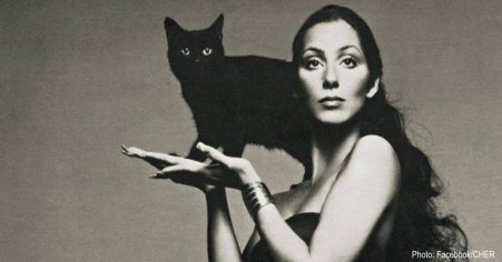 10 Famous People Who Are Crazy For Cats - The Animal Rescue Site News