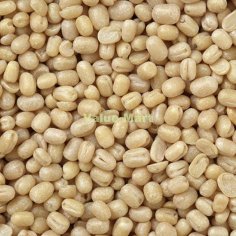 Is Urad Gota (hulled matpe beans) used as a grain or a bean? : IndianFood