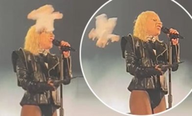 Lady Gaga has a teddy bear thrown at her while performing live | Daily Mail Online