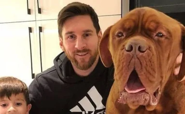 Estos son los lujos con los que vive âHulkâ el perro de Leo Messi