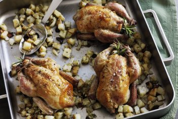 What Is Cornish Game Hen?