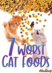 7 Worst Cat Foods 2022 - How To Choose A Quality Food