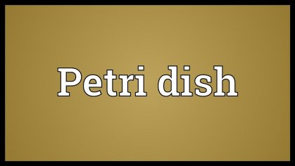 Petri dish Meaning - YouTube