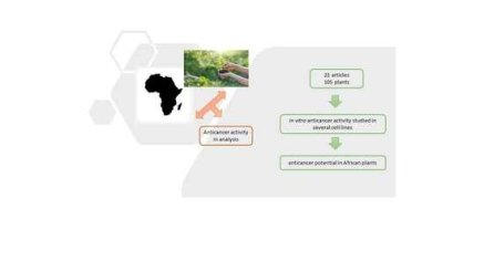 Molecules  | Free Full-Text | In Vitro Cytotoxic Activity of African Plants: A Review | HTML