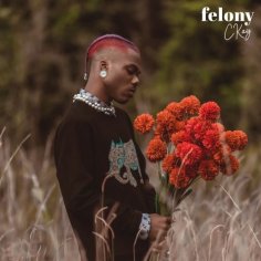 Ckay - Felony Mp3 Download - NaijaMusic