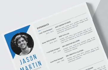 CV Template - 60+ Free Formats, Samples, Examples (Word, PDF)