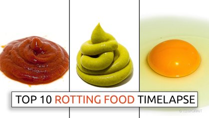 Top 10 Rotting Food Timelapses - YouTube