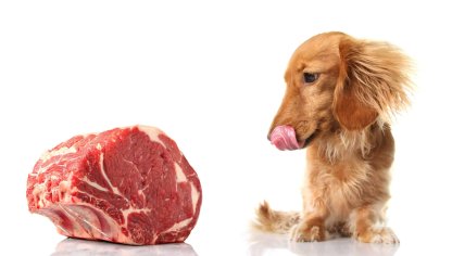 Cook beef for your dog: Use these tips to prepare your own dog food