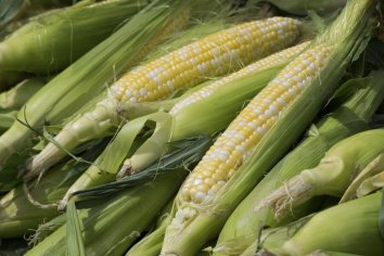 How to Store Corn on the Cob