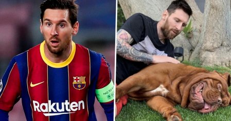 Lionel Messi's dog: What breed it is, name and pictures | Sporting News Canada