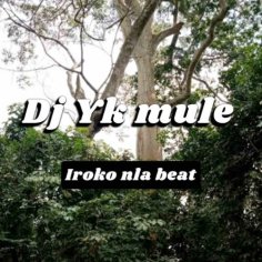 DJ YK Beats - Iroko Nla Beat Mp3 Download - NaijaMusic