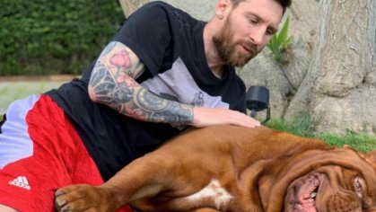 Dónde está Hulk, el enorme y exclusivo perro de Lionel Messi
